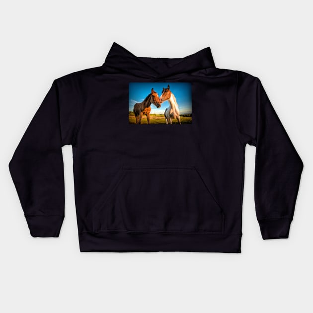 Companions#2 Kids Hoodie by RJDowns